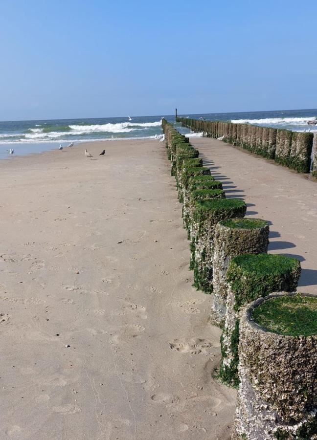 블리싱겐 De Notenbalk Aan Zee B&B 외부 사진