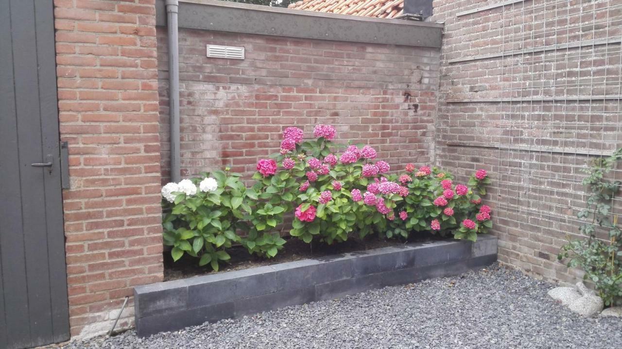 블리싱겐 De Notenbalk Aan Zee B&B 외부 사진